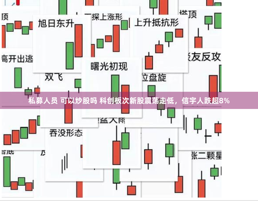 私募人员 可以炒股吗 科创板次新股震荡走低，信宇人跌超8%